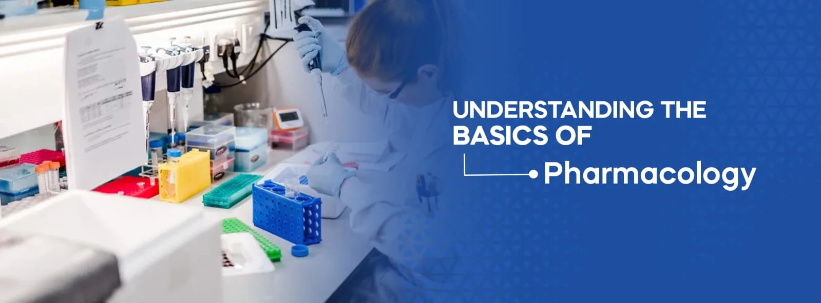 Understanding the Basics of Pharmacology