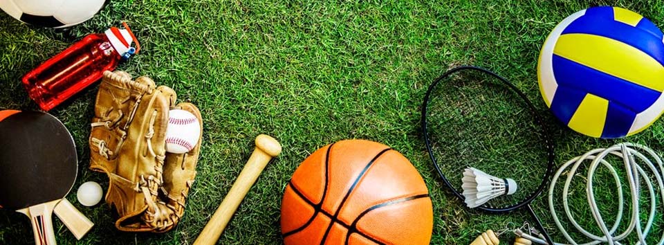 Bachelor of Sports Management